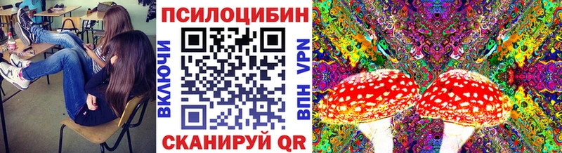 ссылка на мегу   Гулькевичи  Псилоцибиновые грибы прущие грибы 